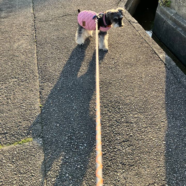 7ac28c50 f994 4b85 a076 cd3a112a5f26 1774018602900