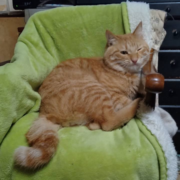 7ac2b1c2 e63b 4ce0 a537 3b7f4c9d7086 1664625238262