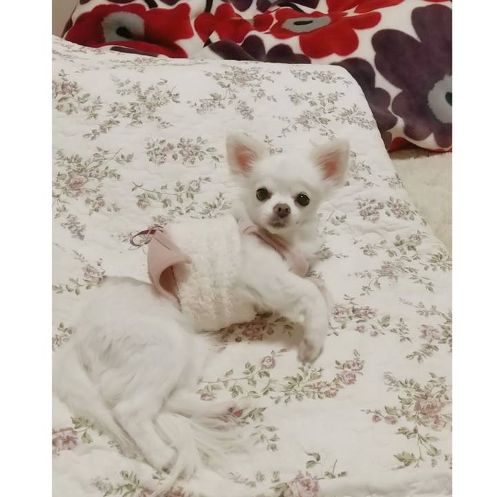 7ac330d1 2c6f 495d a9b4 823dfcb1081f 1628761599275