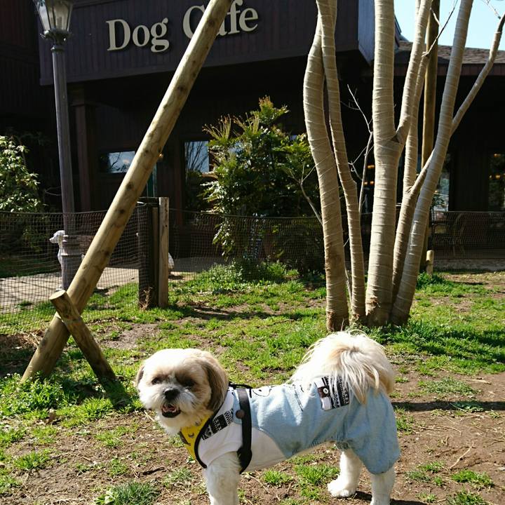 7ac33dac 5d5c 4b5d 87f4 dd68ad1c6409 1552103133201