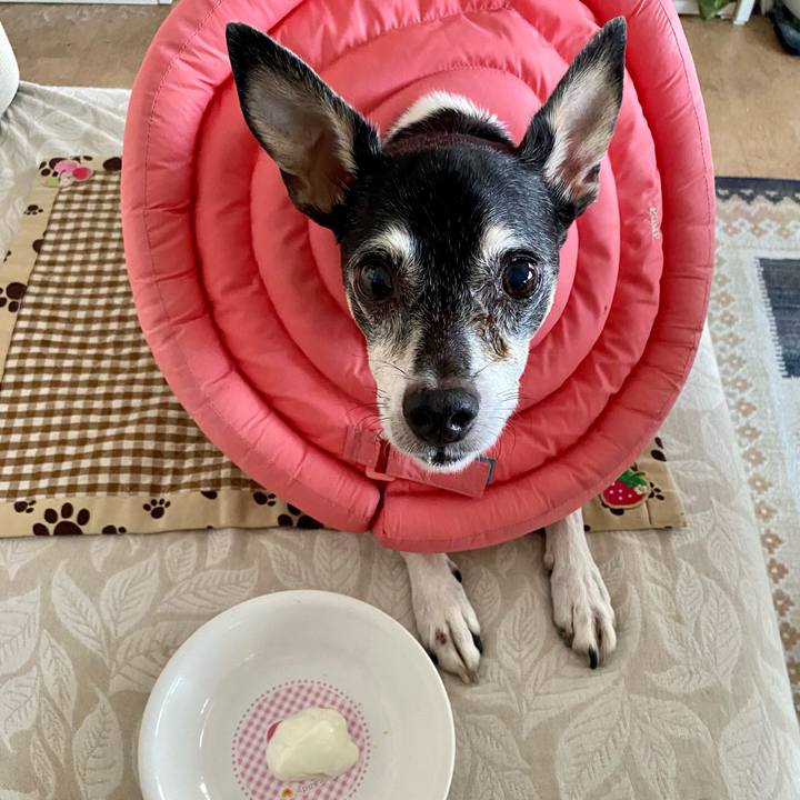 7ac35768 026a 4df8 af9d 59c2e470009f 1633557984111