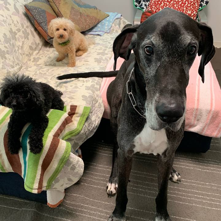 7ac35d43 8d71 4601 9dd4 892a2c68d215 1596493886523