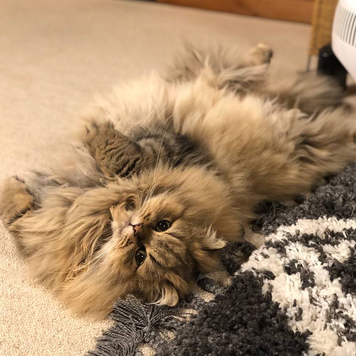 7ac35ec4 8d6f 4a57 b958 0ec21955ebee 1576581149088