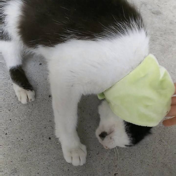 7ac361a8 9810 43da 93d9 ea1c9600655e 1529470831963