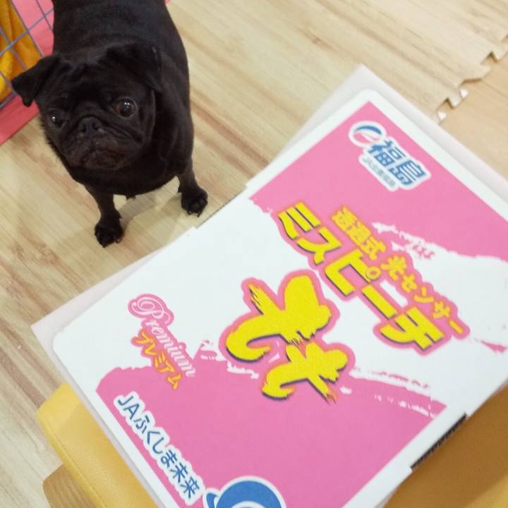 7ac39244 9c80 4967 ab48 e27155653ea6 1597399879518