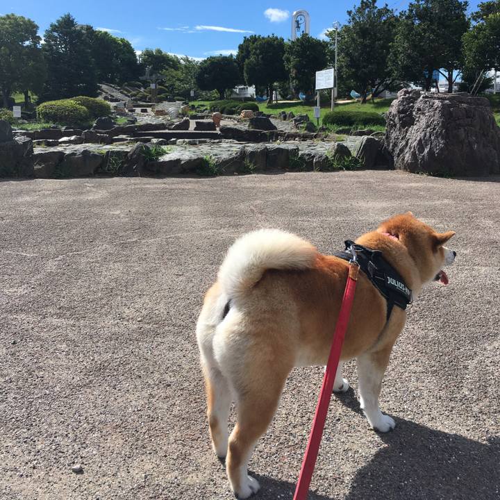 7ac42eb0 8737 45d8 a440 218c3e16e638 1599699170108