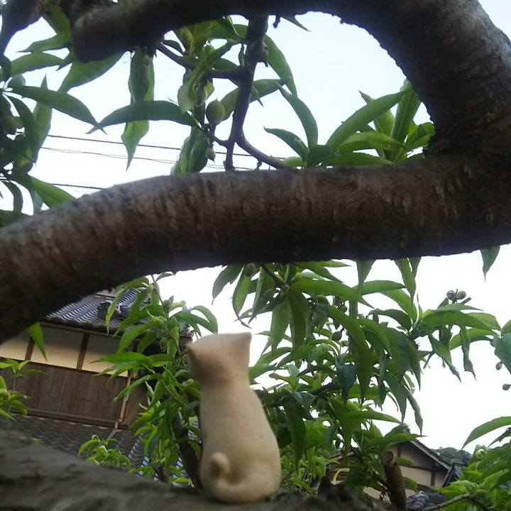 7ac495ef 5850 442f 85e9 cf8ae4201562 1556965951786