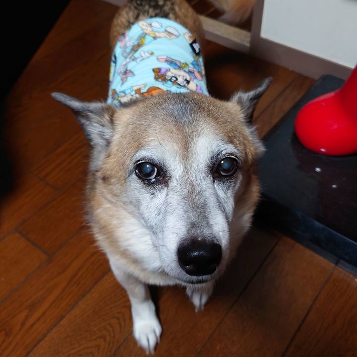 7ac4987e 2c7d 4794 bed4 87ad8b83f2d7 1655216815999