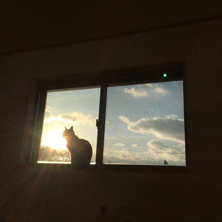 7ac4bf83 3164 45e1 b096 ccf284c97b76 1517716190168