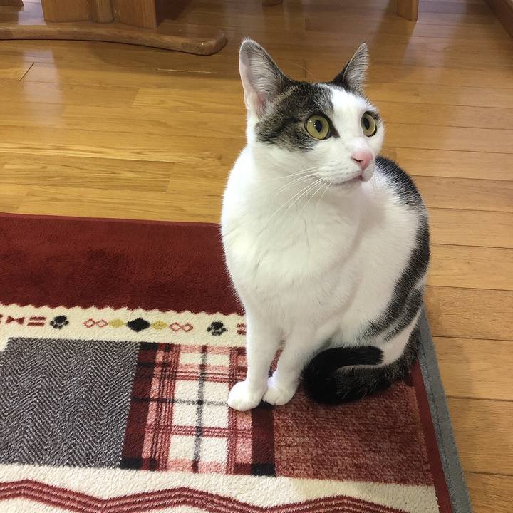 7ac4d83a 78c8 452d a027 89b6039d7ebe 1678361670916