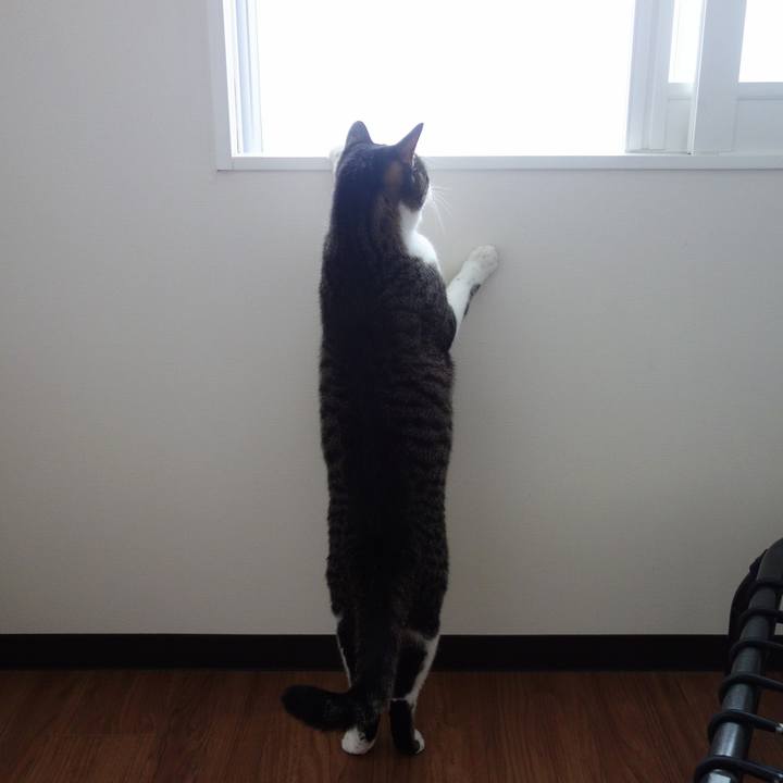 7ac4da58 0b05 4c44 b914 1f245509faa3 1768299851905