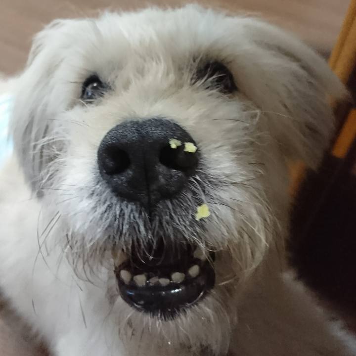 7ac4df91 eadd 4c25 91e8 67dbb9d4c682 1592990497386