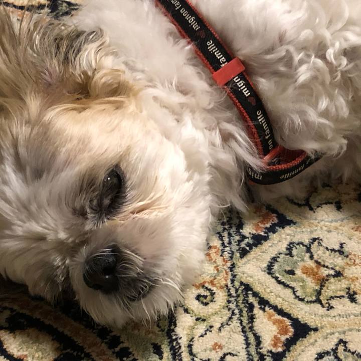 7ac4e22f 59ee 4a40 be0f 41dc0cd58e2b 1602539005708