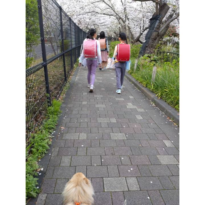 7ac4f5d1 1d2d 47dd 88ed bc3e2d6dfbe2 1743982600886