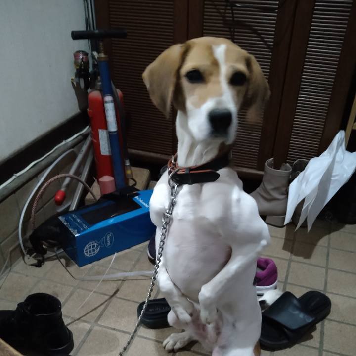 7ac50b97 87a0 4e5d b2db bc34e2b77c09 1639487313169