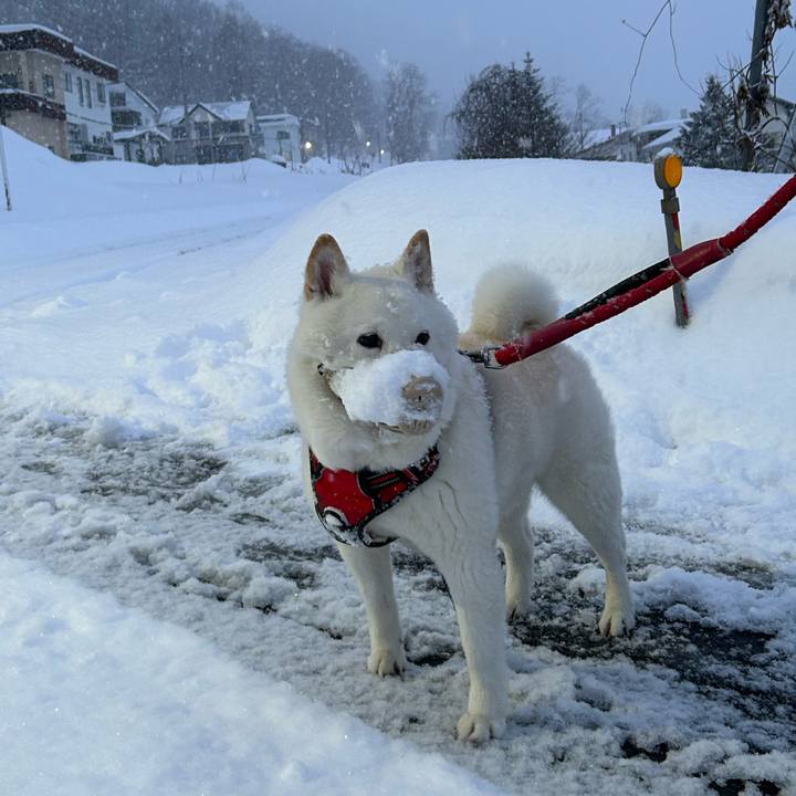 7ac51a77 a6d6 4319 b4af 30981b0a9df2 1768691322316