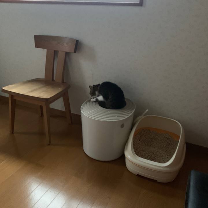 7ac525f5 4d11 463d 8c85 1265c0bbb6ac 1651180934302