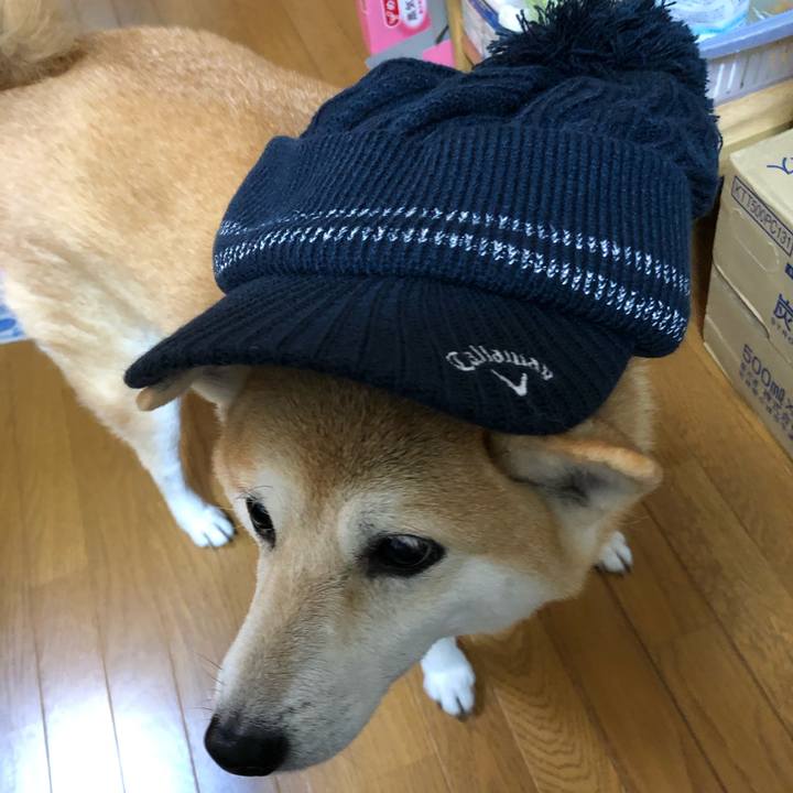 7ac55388 4f74 47b0 bd04 be9ff288de73 1603540169592