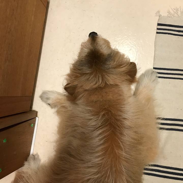 7ac578dc 0e2c 496a 96f8 5208f6577df3 1592206035281