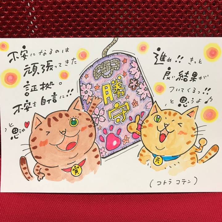 7ac592b3 48b0 4345 a8dc fdf695d7ba6a 1547830018871