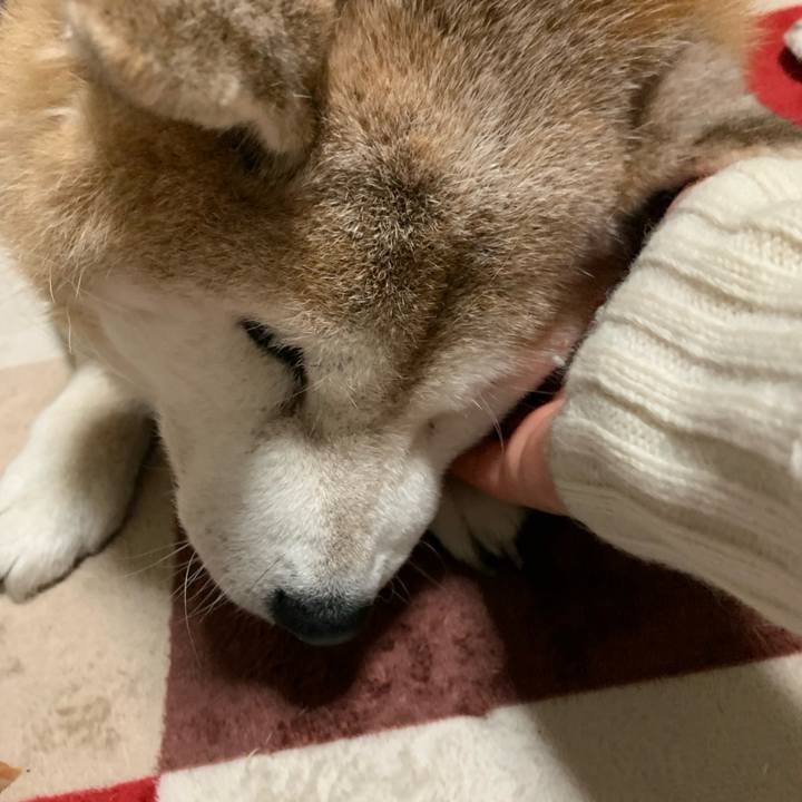 7ac5dc50 0d80 477e b1d2 0ecca7042ee8 1639402575399