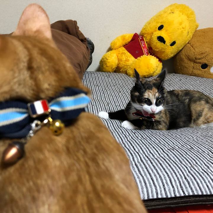 7ac605fc cd7b 4b5d 8f97 e567180df670 1566558149022