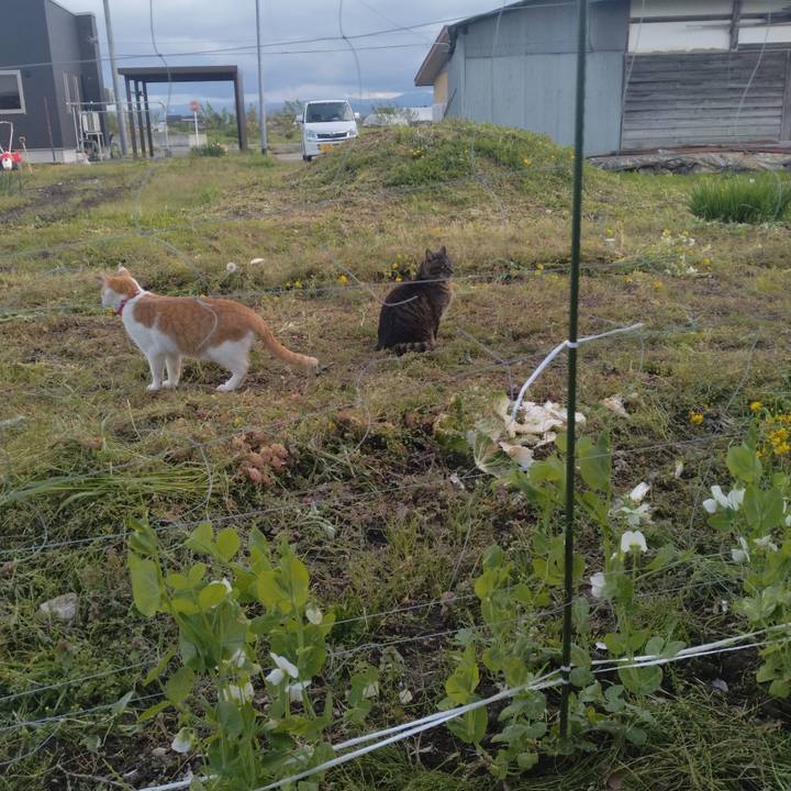 7ac61c4f b3bf 402b 9eaa 2c123178efcb 1747037336237