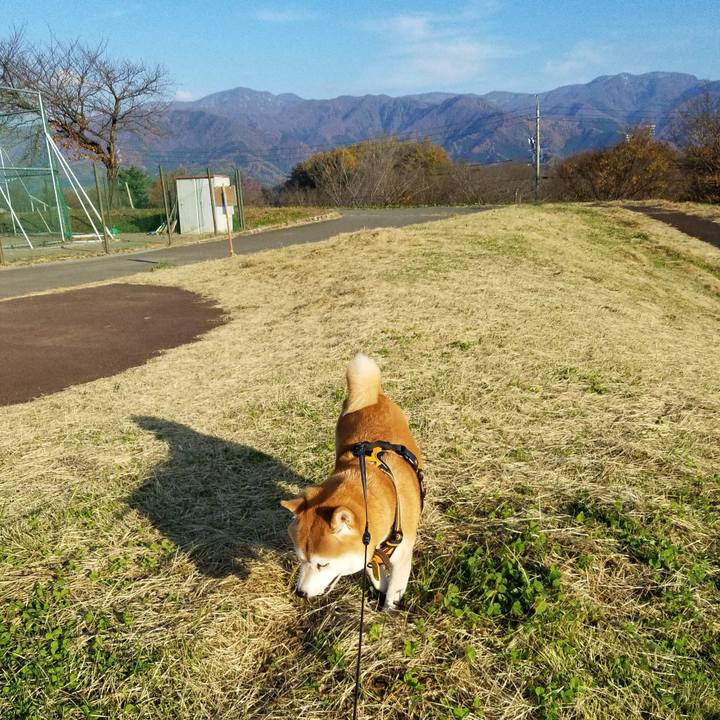 7ac62912 26c0 4398 ae1b d28eb1617c30 1605248678543