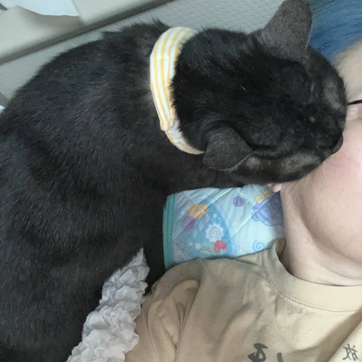 7ac64d6c e868 4ed1 8d96 e2fda827d8d6 1759257879137