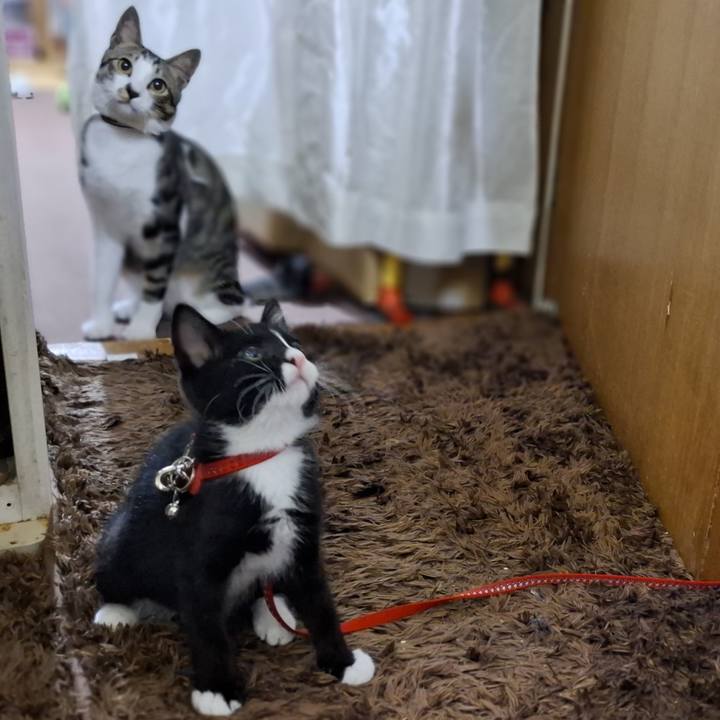 7ac695dc 8d5d 4509 a34f 3ef49c8a8b10 1750041977420