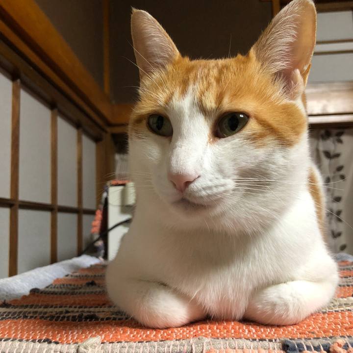 7ac6a08c cf27 404d 8a65 19e2a3857917 1540286450994