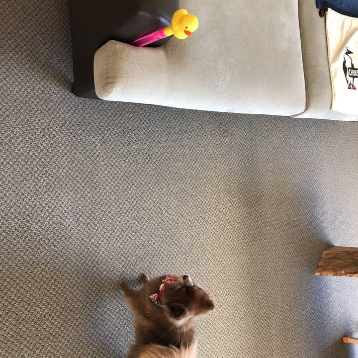 7ac6a5b6 1640 40fd 9b77 8dbbc3e8305c 1543707857650