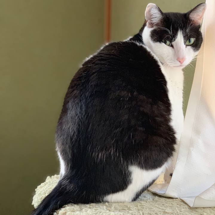 7ac6b396 e3d4 479b b2a5 b57954e3dda1 1555898487858