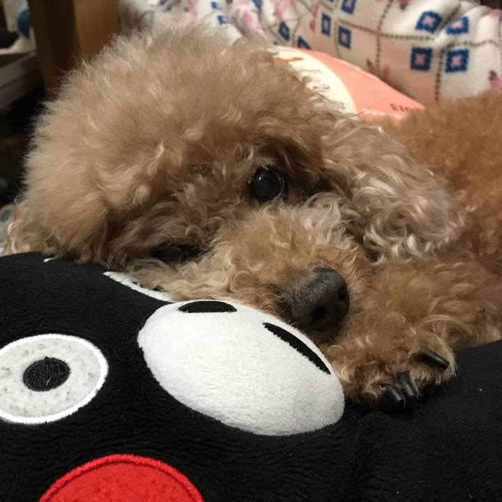 7ac6cb42 87fa 451e bf56 8b1fabeb69e3 1542032674567