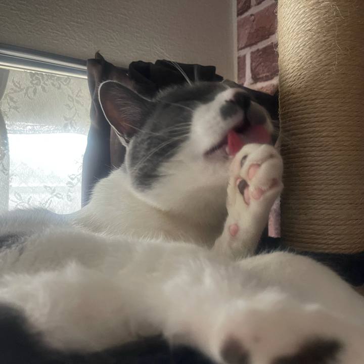 7ac6cca4 ab4c 41c1 9564 59252690c32f 1645496048605