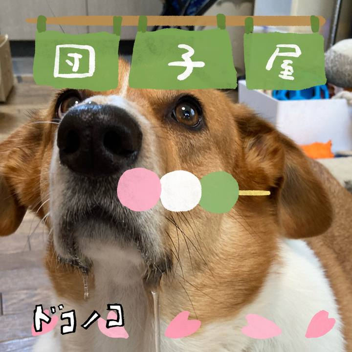 7ac6df35 6836 46ac 9832 a5cfeefd1b7c 1712204222185