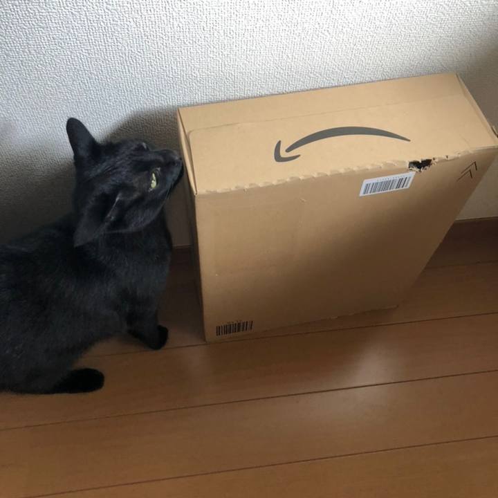 7ac6e4d4 bf4e 4776 9d7b 6629177ea588 1558476988338