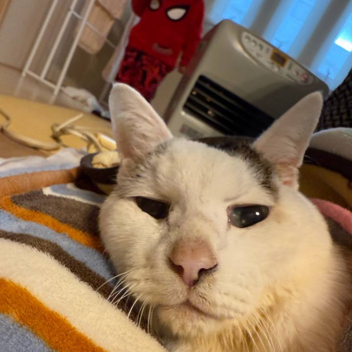 7ac71e7b f72f 47c0 9f78 0a7fa598b3de 1768972918522