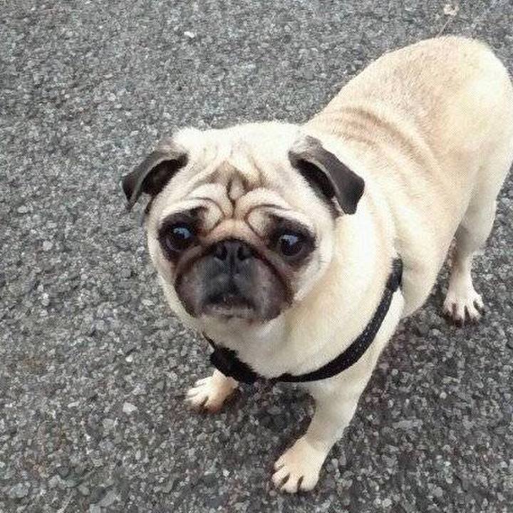 7ac7739b d929 4316 b4bf 102194ef8410 1548399276159