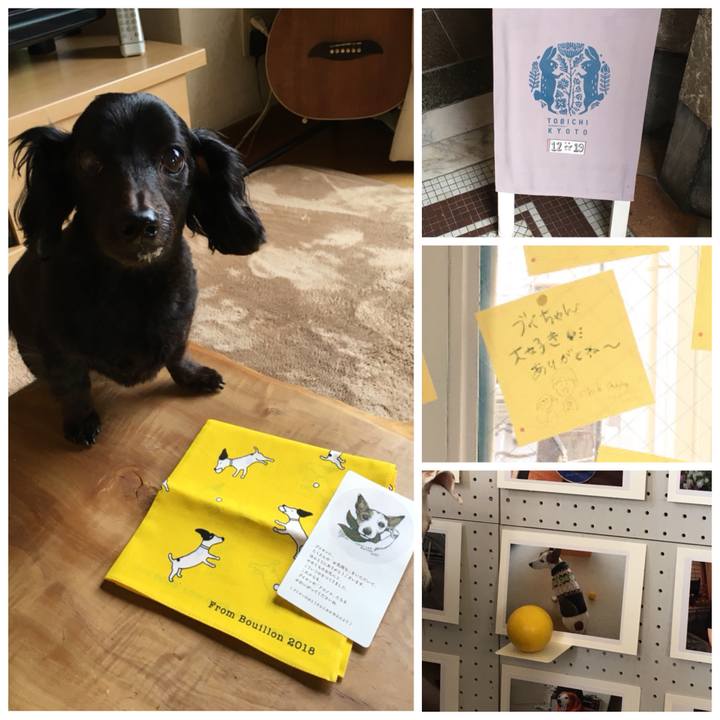 7ac78af5 76a1 45e4 9867 10fa024cee97 1524030217292