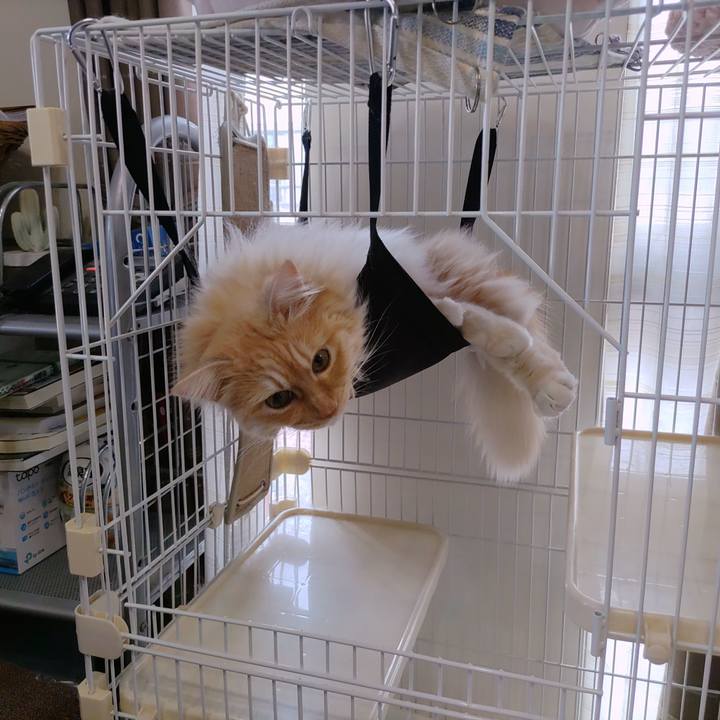 7ac78e22 b3a7 4ce2 b3bb 86fc428e4233 1714288443783