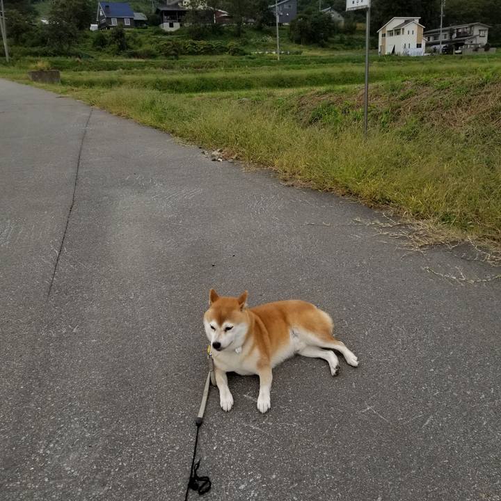 7ac79478 7814 44e0 a922 a5dfb60a1129 1570429665615