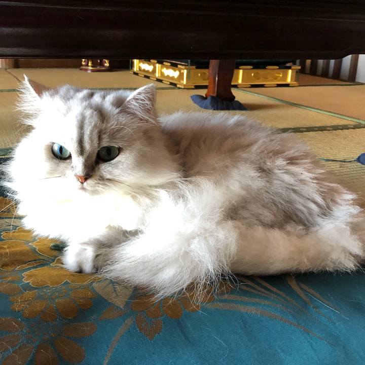 7ac7b9a8 b869 4797 a355 88124596451d 1566786228189