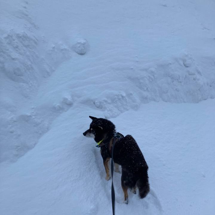 7ac7d032 d6e5 429d b415 9668de56d481 1672910286094