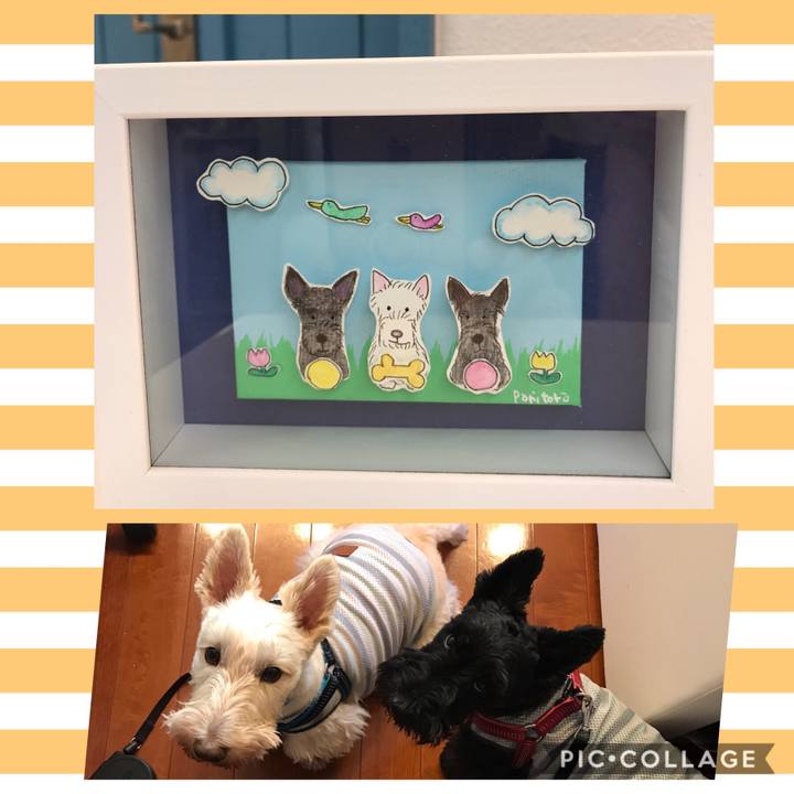 7ac828fe 4623 4688 8f97 b9606d678c99 1565770605904