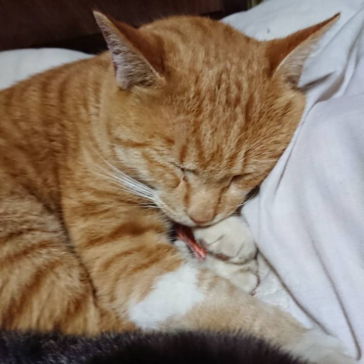 7ac84bf7 65a4 487d 875a 58481ca1c0ad 1574080027523