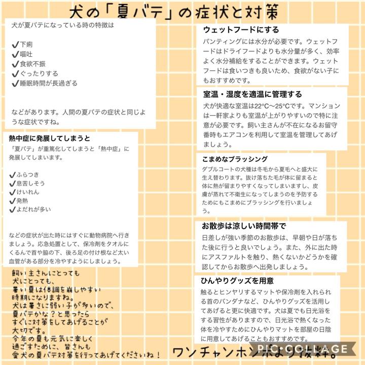 7ac84c55 d9eb 44f8 926f 1d00e059888c 1563624846967