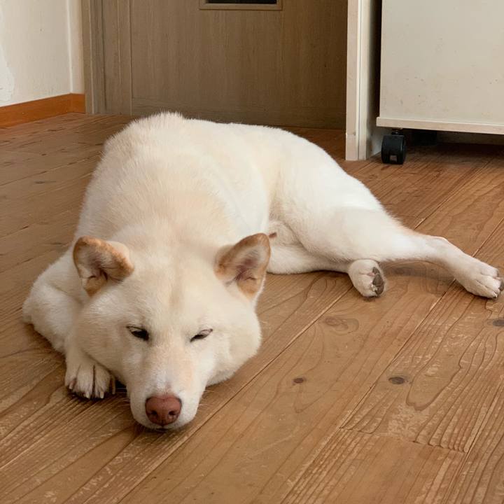 7ac85214 c6e0 4007 a78a d553acf1abf4 1557125733860