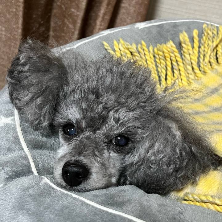 7ac8c2c5 1ba7 4034 81e2 f9103c7cd7eb 1676636518853