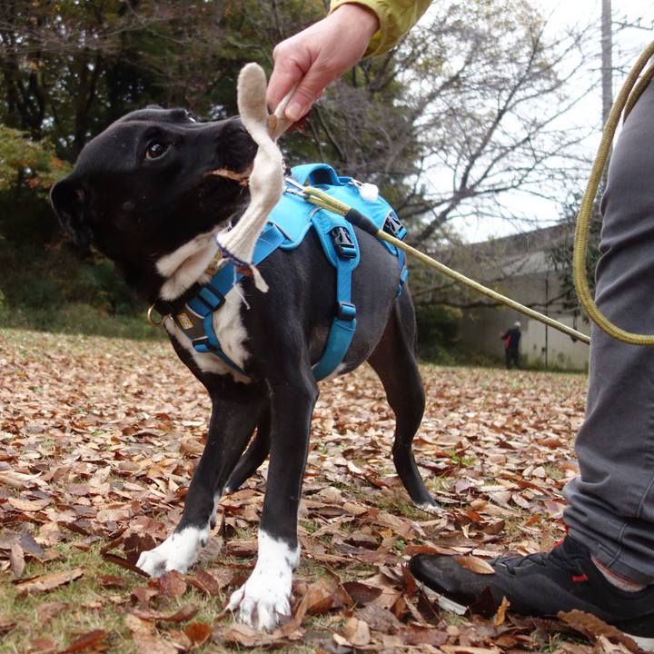 7ac8da4e d3b1 43cc b9ad b0d4fcc04d04 1606867938911